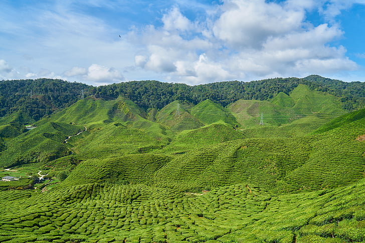 sikkim